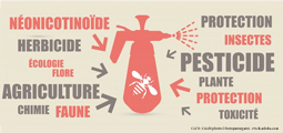 7 questions sur les pesticides, article par la clcv touraine