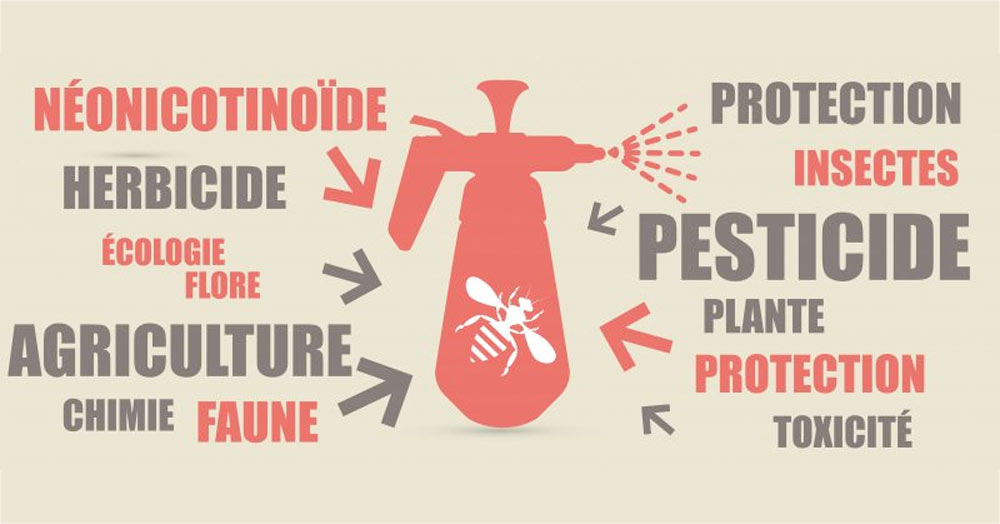 7 questions sur les pesticides, article par la clcv touraine